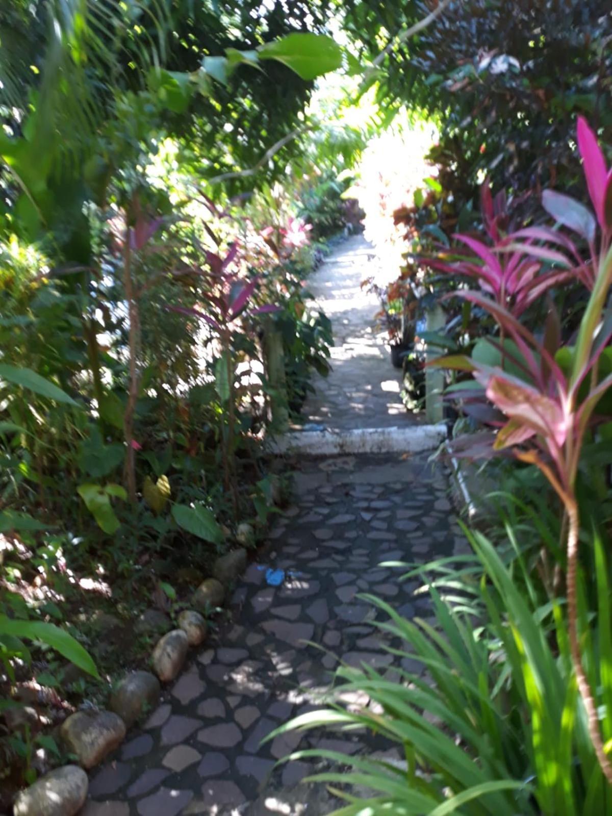 Hibiscus Valley Inn Marigot Exterior foto
