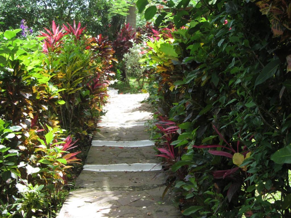 Hibiscus Valley Inn Marigot Cameră foto