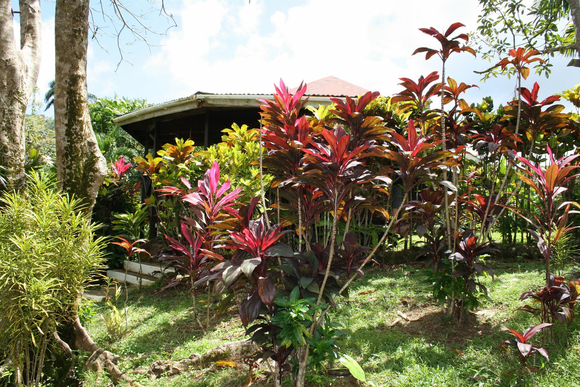 Hibiscus Valley Inn Marigot Exterior foto